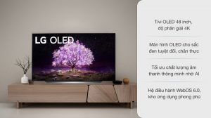 vi-vn-oled-lg-48c1ptb-1_d52265c49119462faa5116ad5d79afc5.jpg