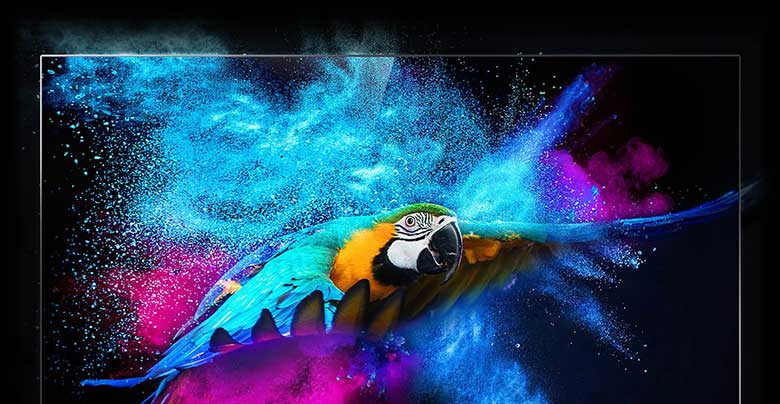 công nghệ Dolby Vision hiển thị màu sắc TCL 65C815 QLED