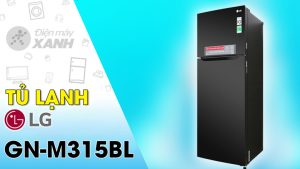 vi-vn-tu-lanh-lg-gn-m315bl_2948fc81aa6643529989845a916a5ac9.jpg