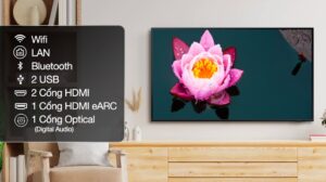 smart-qled-4k-50-inch-samsung-qa50q60b637895068546228105_8389e483a5ef4cf5b9b64d4d87f5492a.jpg