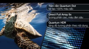 smart-qled-4k-65-inch-samsung-qa65q80b637895917262683574_eb6ec588124143ad9faa2509fac6b85d.jpg