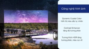 vi-vn-led-4k-samsung-ua55au8100-2_70aebbdefd044d25943ec4366d338b26.jpg