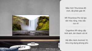 vi-vn-led-sony-kd-85x95j_5a74f8b3d5494a378a121d1bf9b464cc.jpg