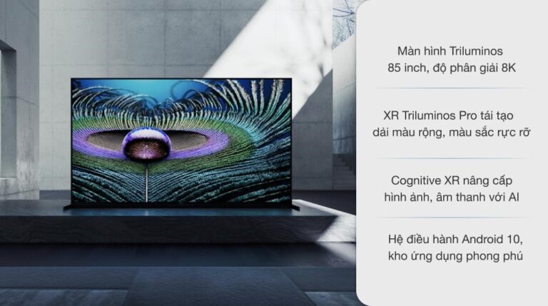 vi-vn-led-sony-xr-85z9j-1_32430062db16493b825b3e6111005721.jpg